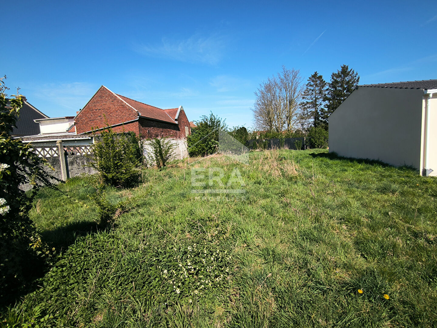 Photo Terrain Sains En Gohelle 486 m2 image 2/3