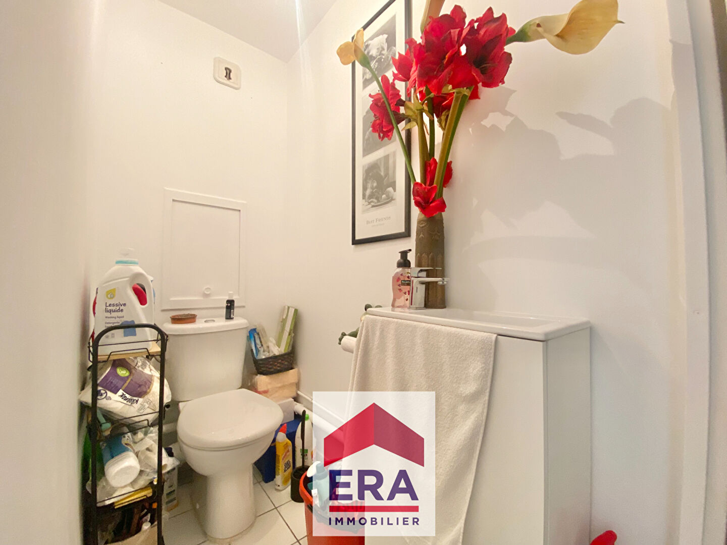 Photo Appartement Sartrouville 2 pièce(s) 55 m2 image 6/6