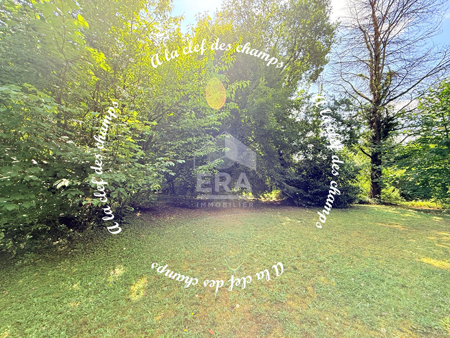 Photo Maison Gif Sur Yvette 6 pièce(s) 200 m2 image 3/6