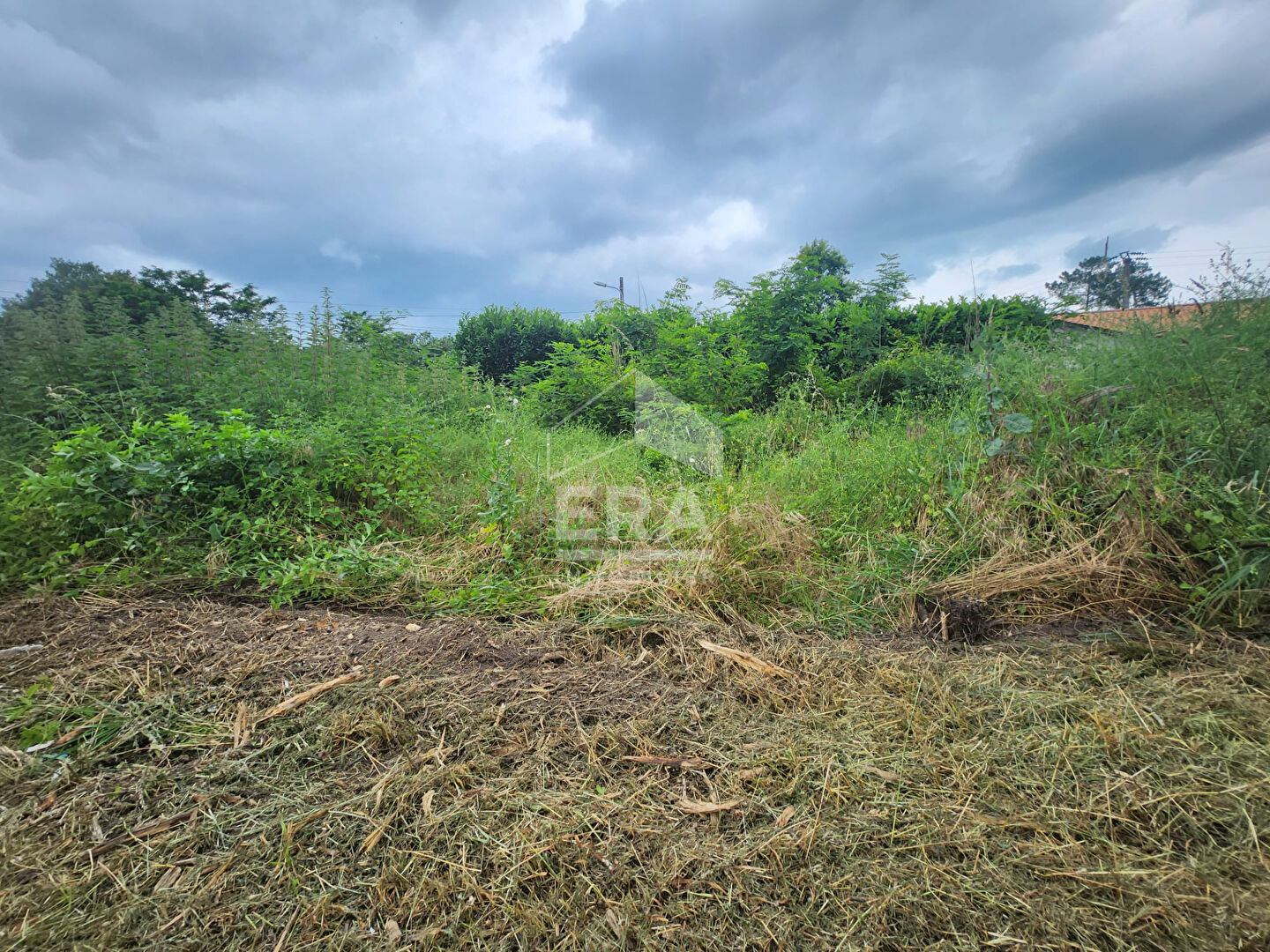 Photo Terrain 1229 m2 - St Sauveur - 1H de Bordeaux image 2/3