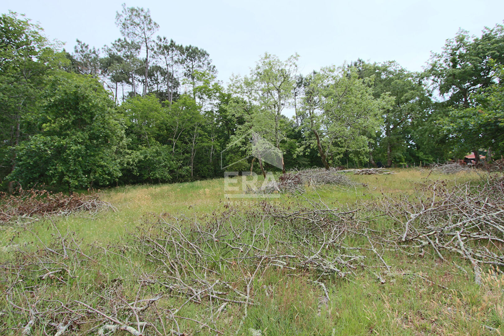 Photo Terrain Biscarrosse 677 m2 image 2/2