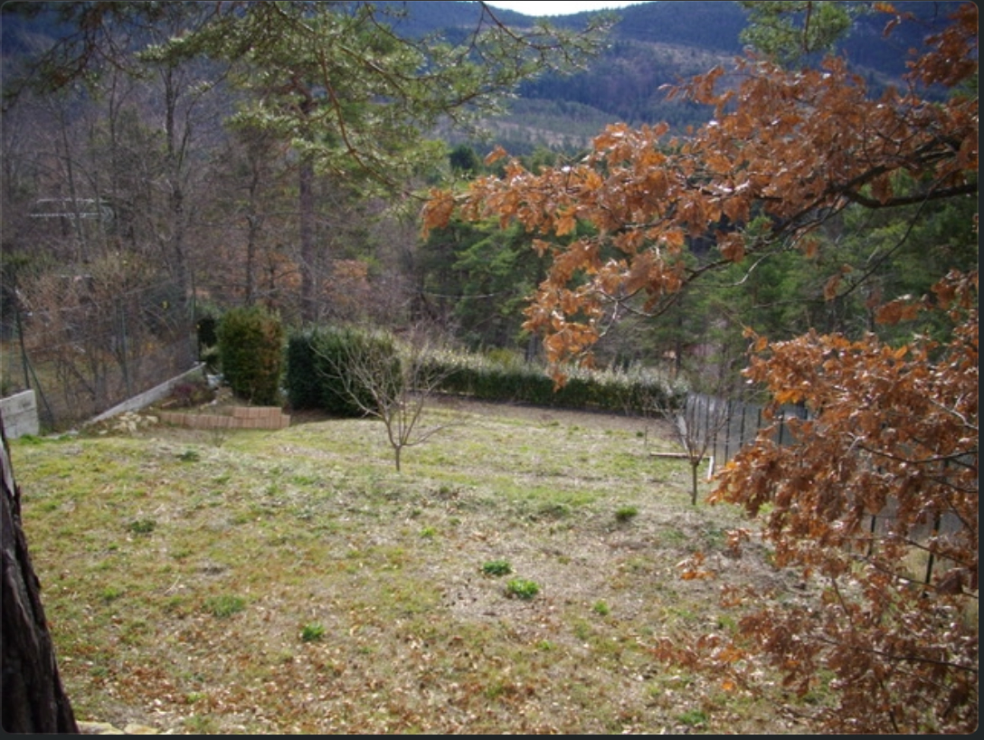 Photo Terrain Andon 1600 m2 image 4/6