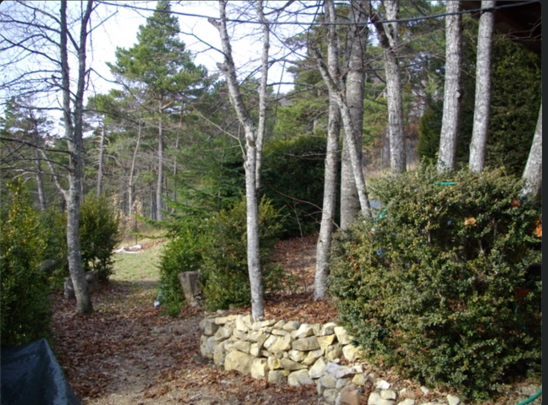 Photo Terrain Andon 1600 m2 image 5/6