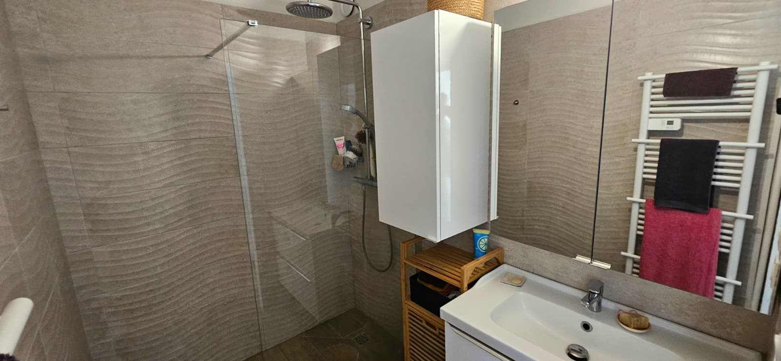 Photo A Vendre Nice St ROCH grand 2 pieces avec dressing, garage et cave image 5/6