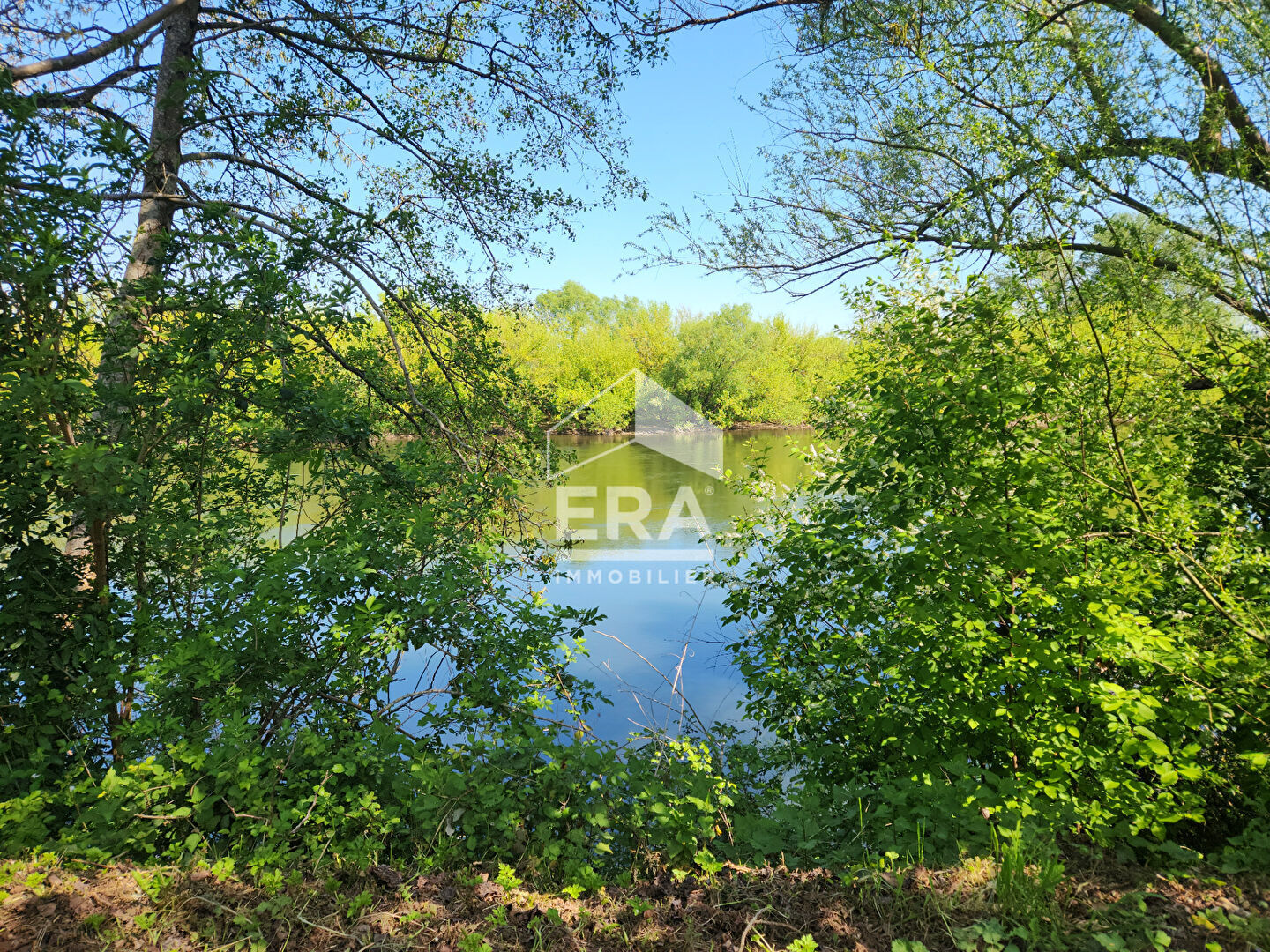 Photo Maison en pierre  à la campagne Eynesse 8 pièces 4 chambres 260m² image 5/6