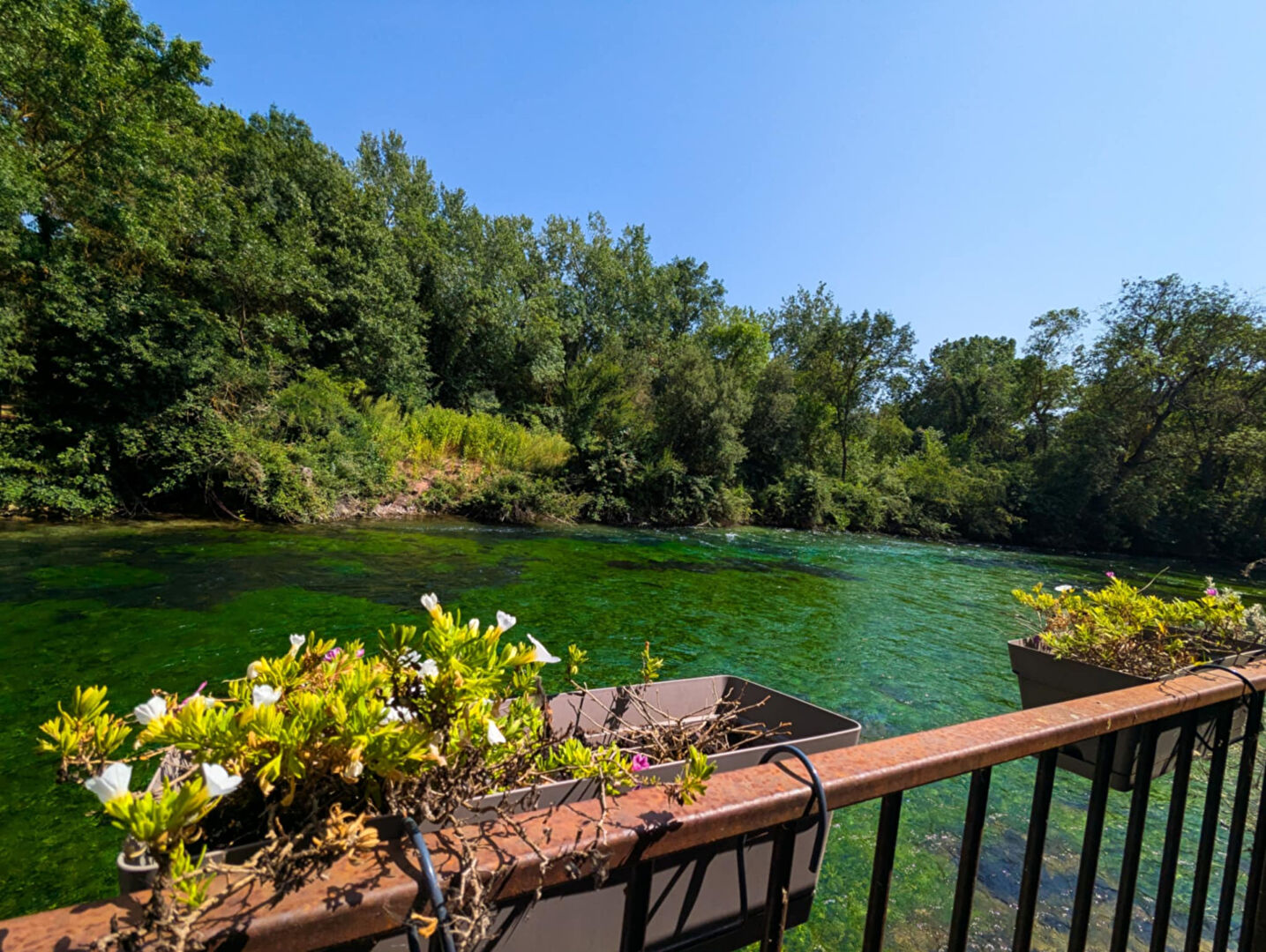 Agence immobilière de ERA IMMOBILIER L'ISLE SUR LA SORGUE