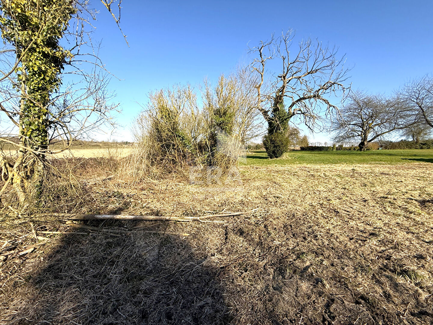 Photo Terrain plat de 1 402 m² à Bernay-Vilbert image 2/2