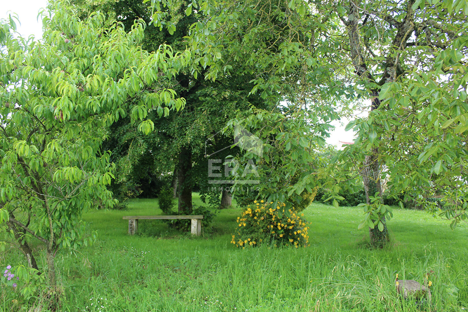 Photo Dépendance Bernay Saint Martin image 3/4