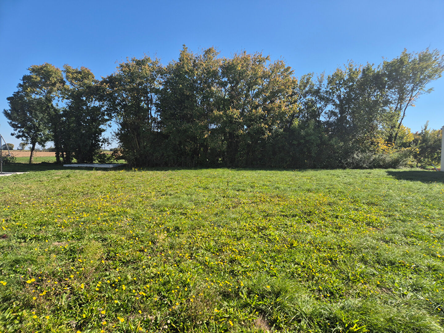 Terrain Saint Pierre D'Amilly 794 m2