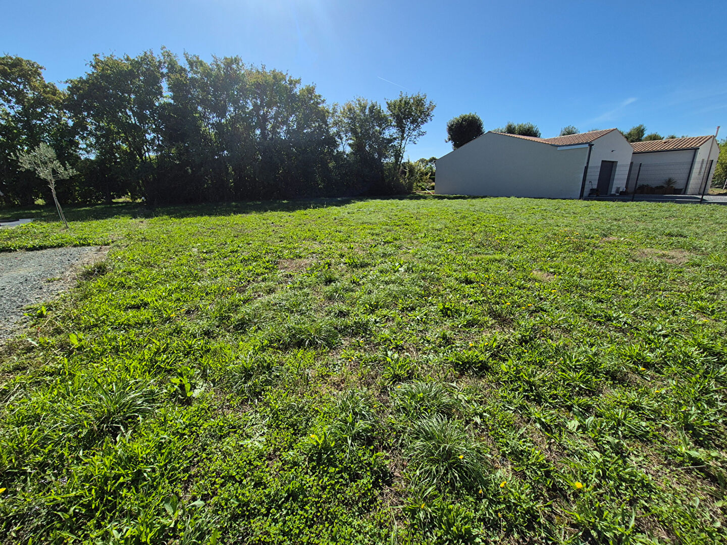 Photo Terrain Saint Pierre D'Amilly 794 m2 image 2/3