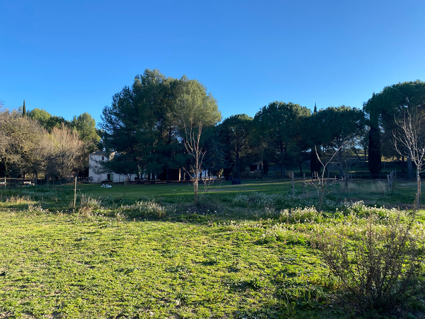 Terrain de 5 hectares - Projet Equin ou rural avec belle maison avec piscine