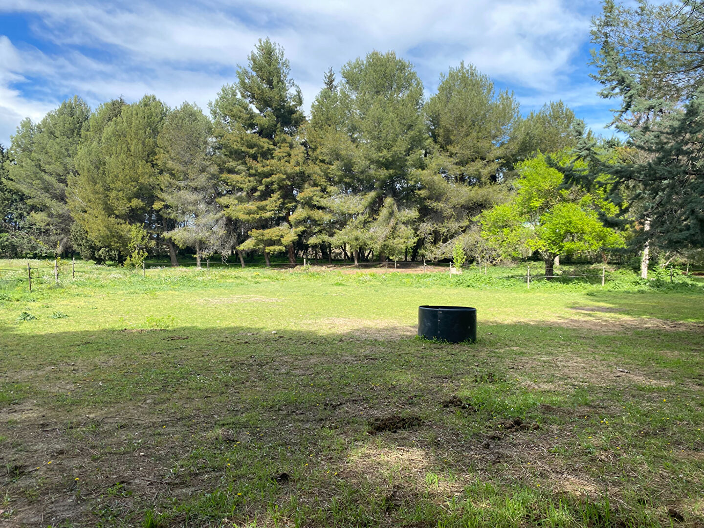 Photo Terrain de 5 hectares - Projet Equin ou rural avec belle maison avec piscine image 3/6