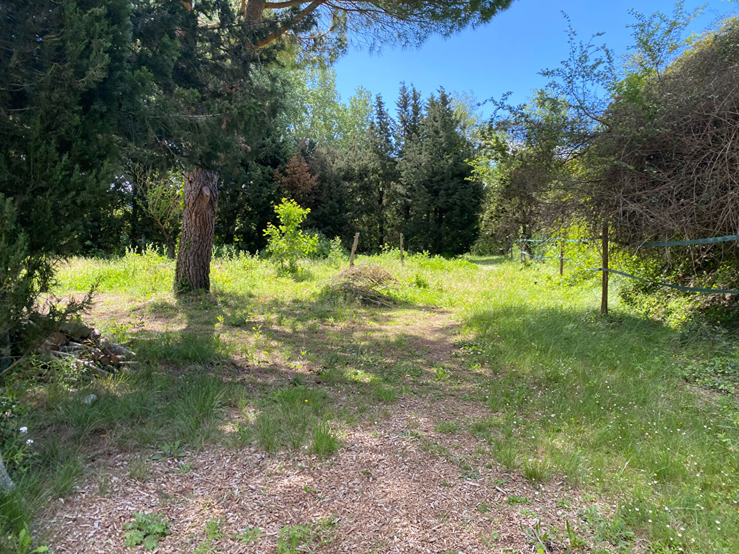 Photo Terrain de 5 hectares - Projet Equin ou rural avec belle maison avec piscine image 4/6