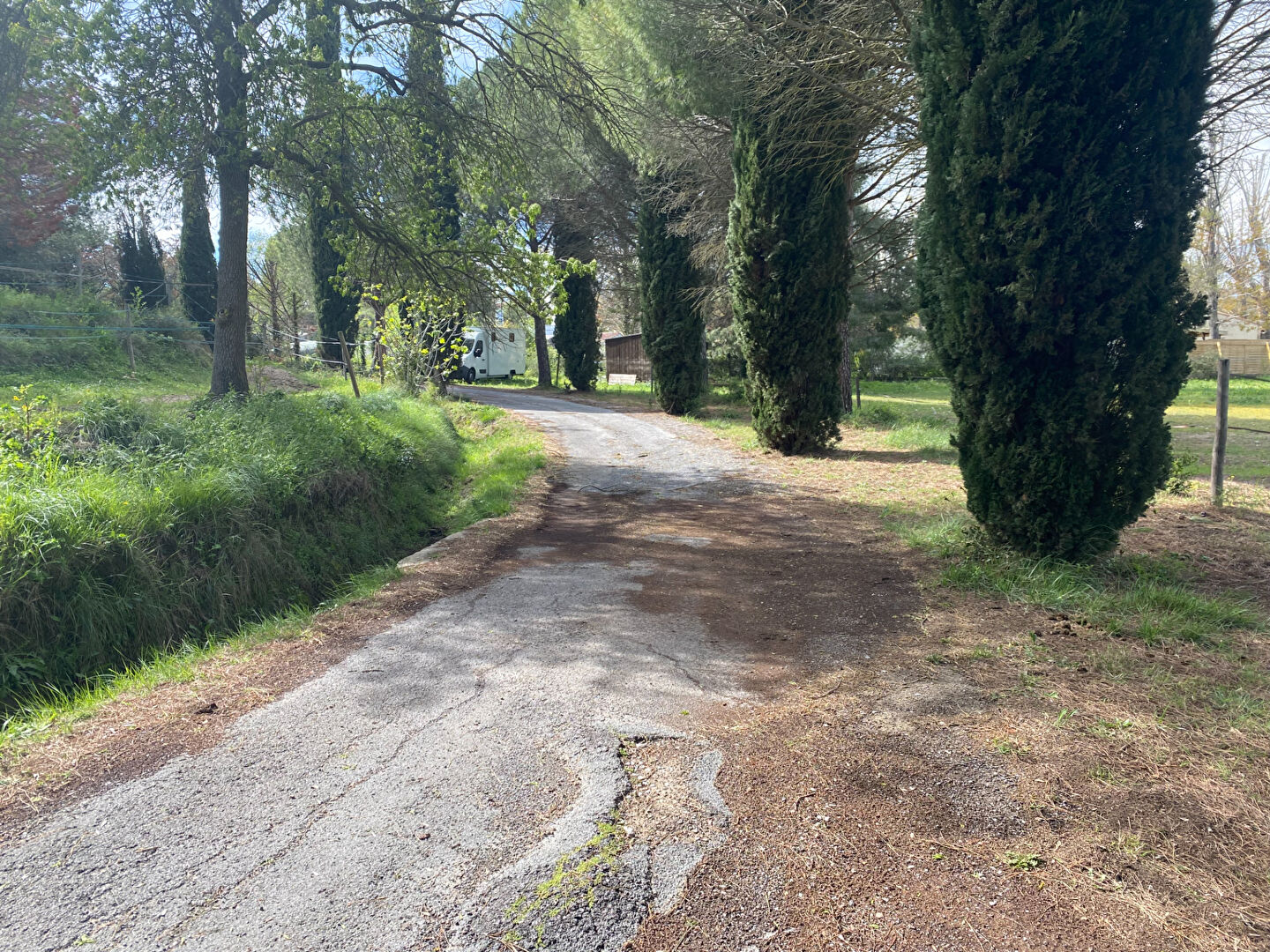 Photo Terrain de 5 hectares - Projet Equin ou rural avec belle maison avec piscine image 6/6