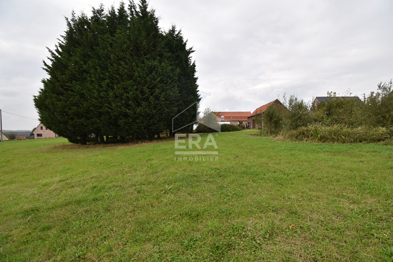 Photo Terrain Blaringhem 1398 m2 image 2/2