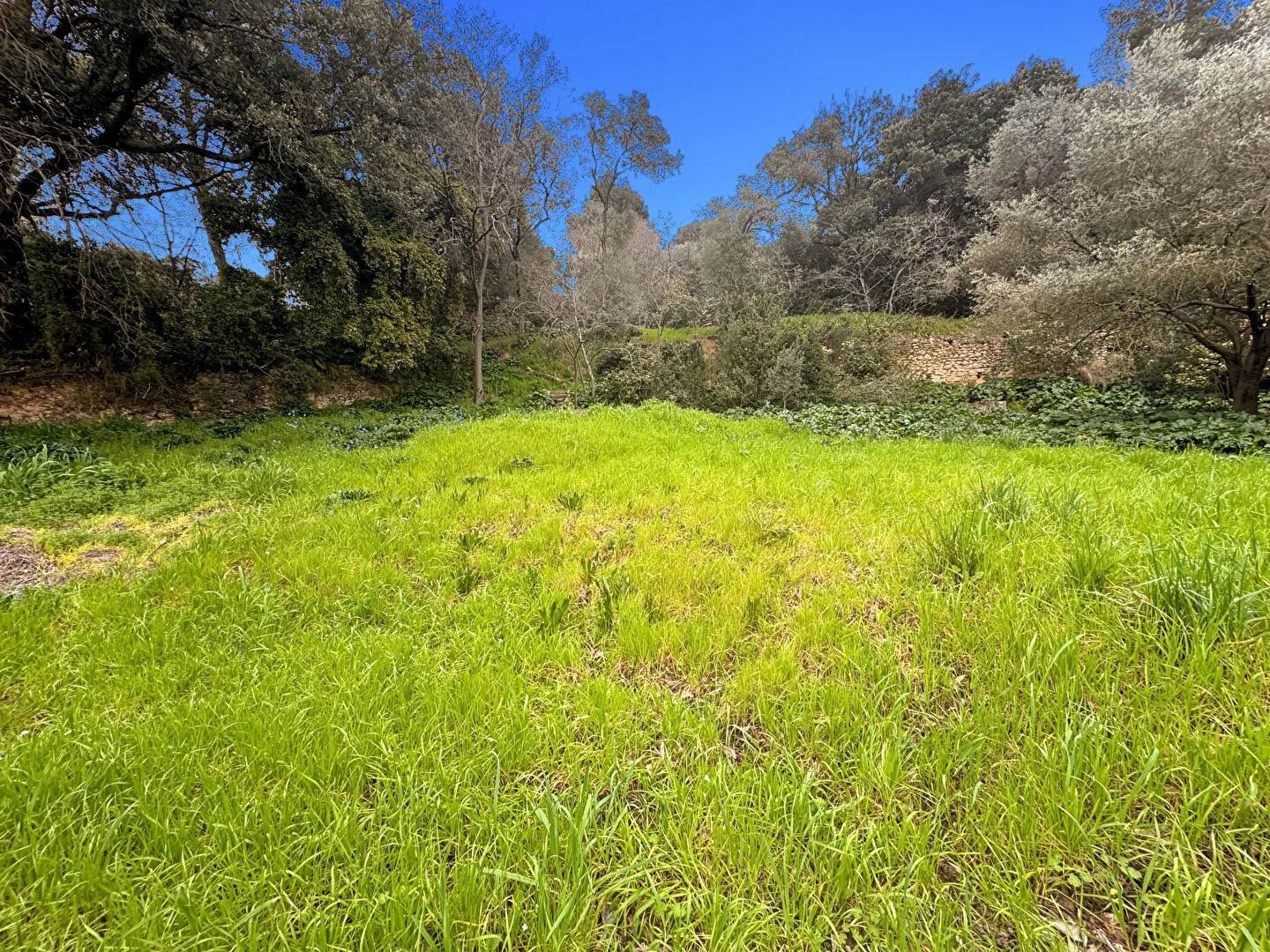 Agence immobilière de Era Immobilier Marseille Bastide