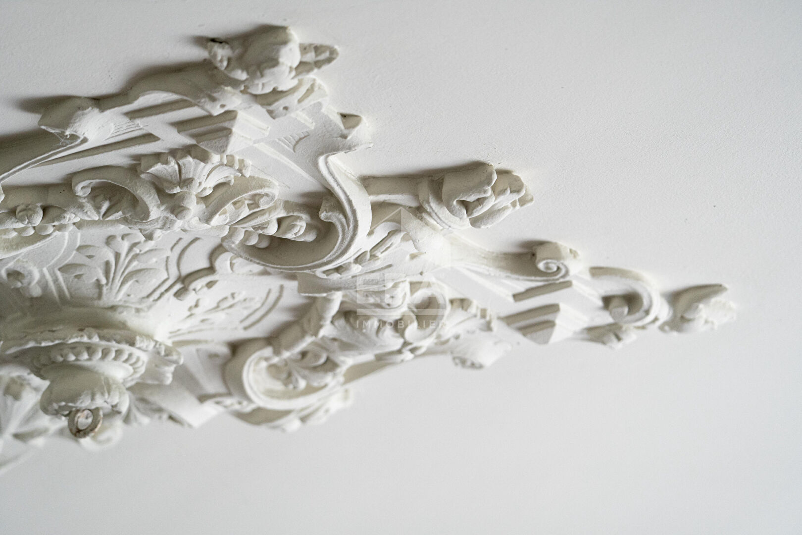 Photo Vente Maison ancienne 5 pièces 185 m² avec terrasse et jardin - Talence (33400) image 5/6