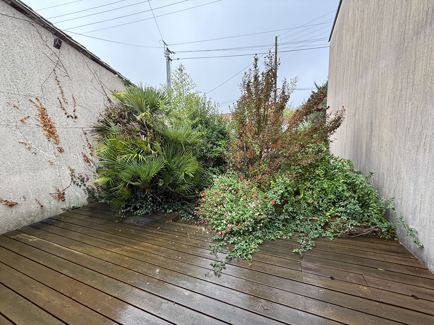 Photo Maison Talence 2 pièce(s) 63 m2 image 2/6