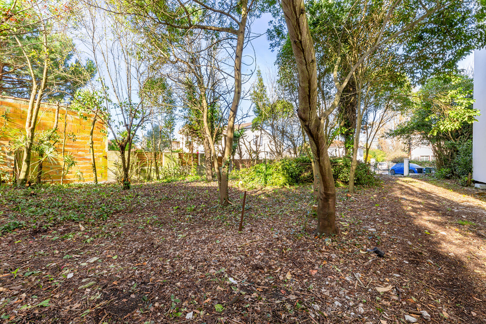 Photo TALENCE PEIXOTTO TERRAIN image 1/1