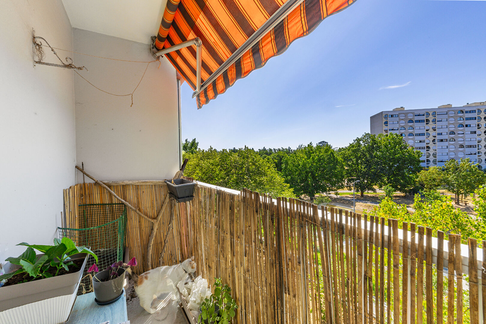 Agence immobilière de ERA VICTOR LOUIS Immobilier