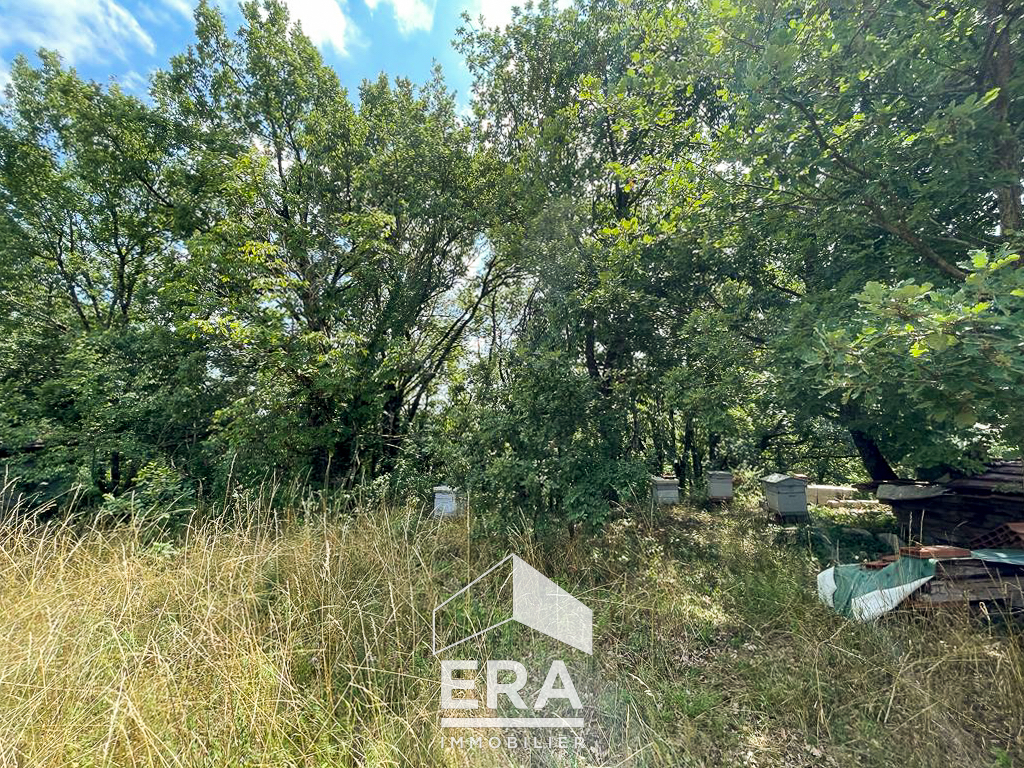 Photo Terrain à bâtir Cambon 2985 m2 image 5/6