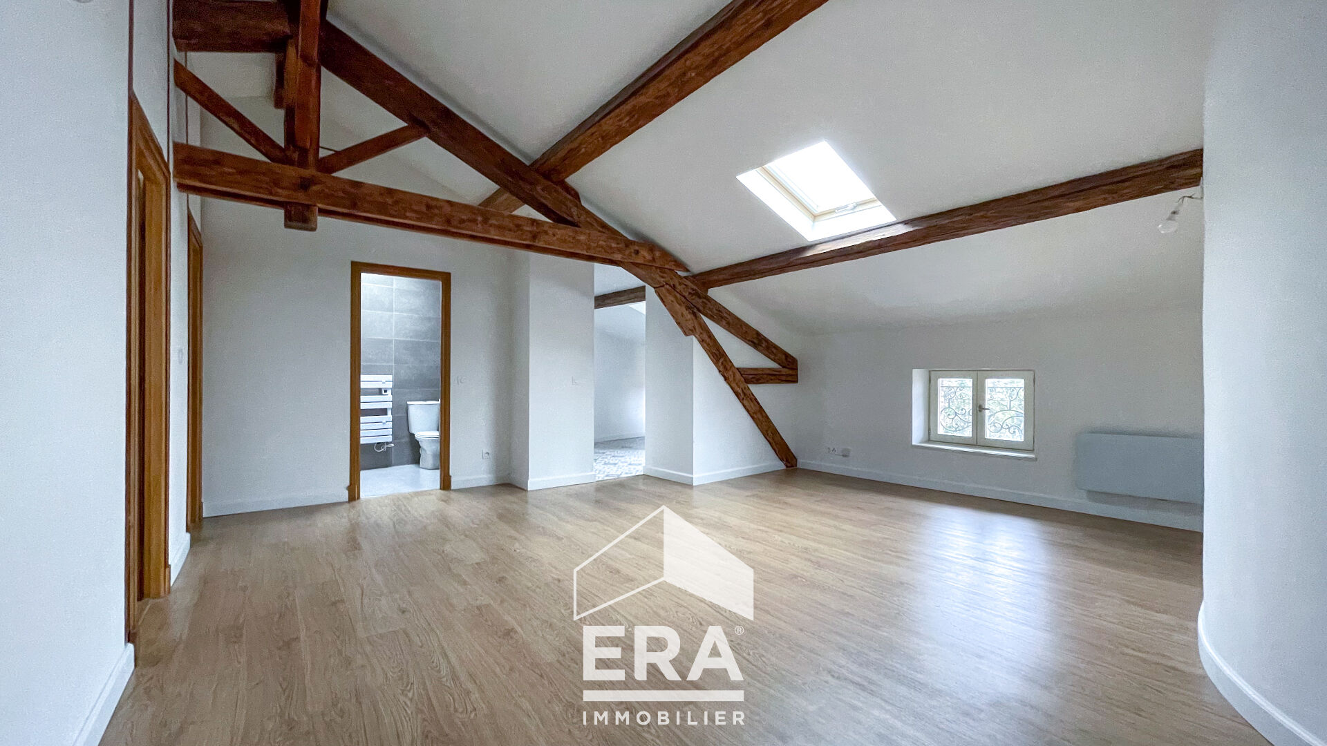 Appartement Albi centre-ville 3 pièces