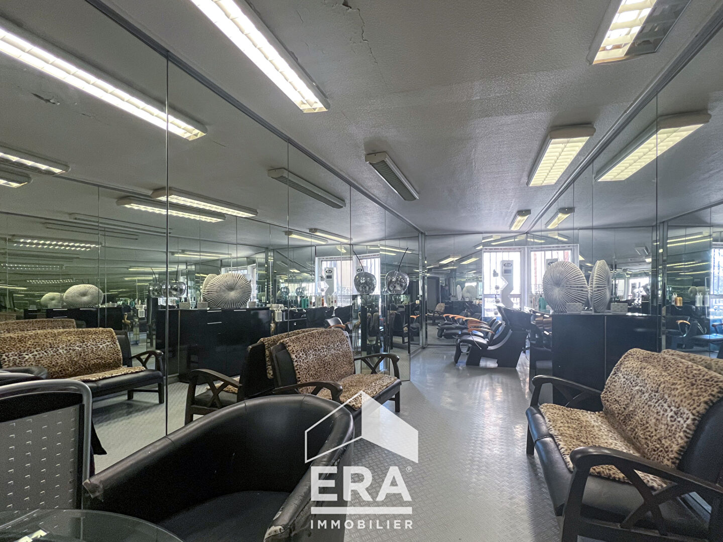 Photo Immeuble Albi 3 pièce(s) image 3/4