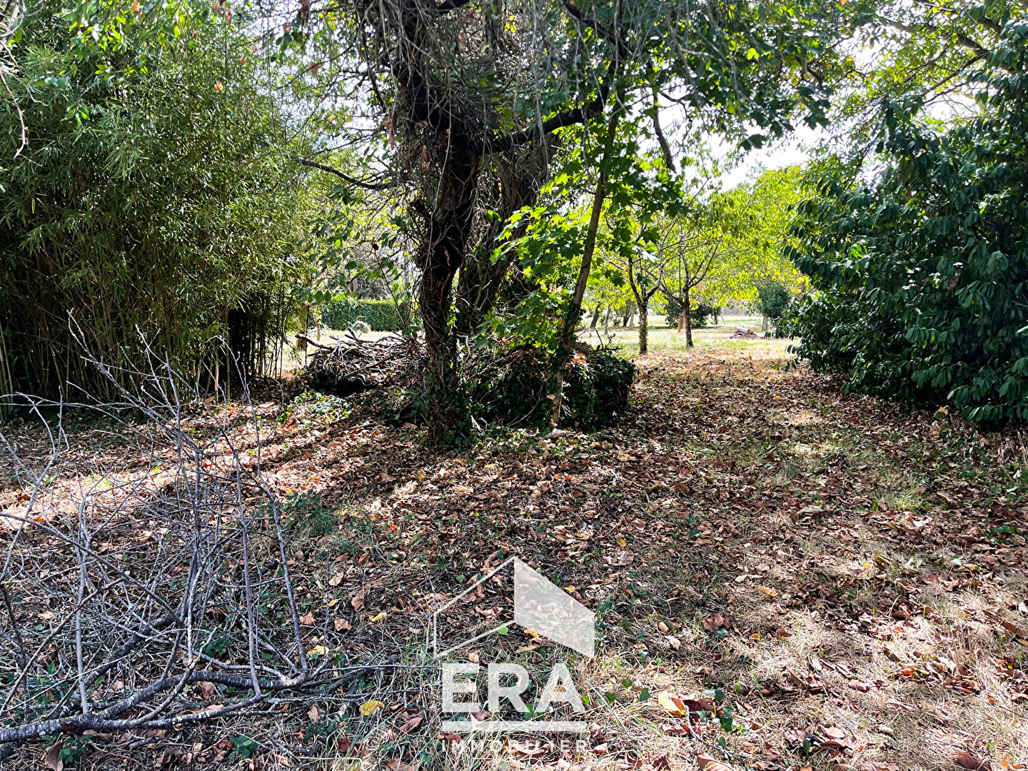 Photo Terrain constructible Saint Jean De Marcel plus de 2600m2 image 4/4