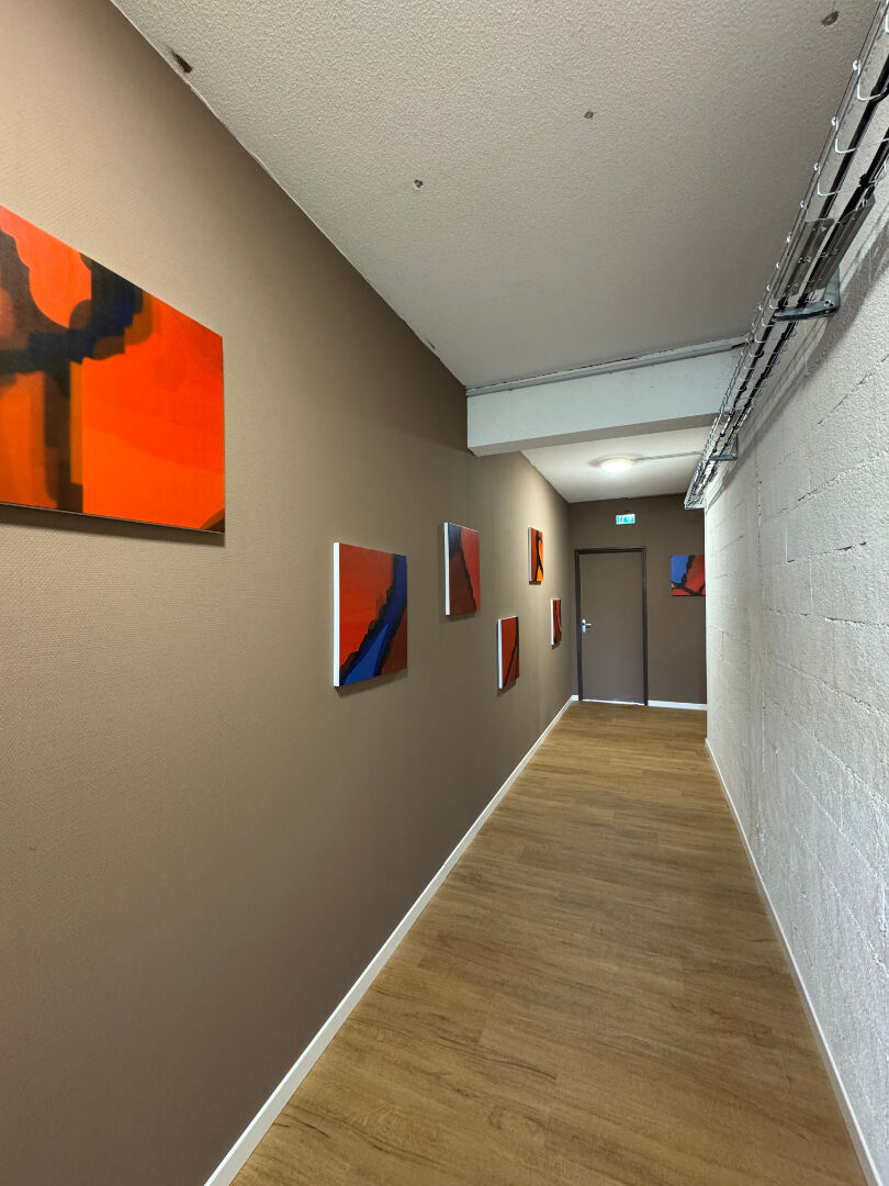 Photo LOCAL COMMERCIAL 200M² - ALBITECH image 6/6