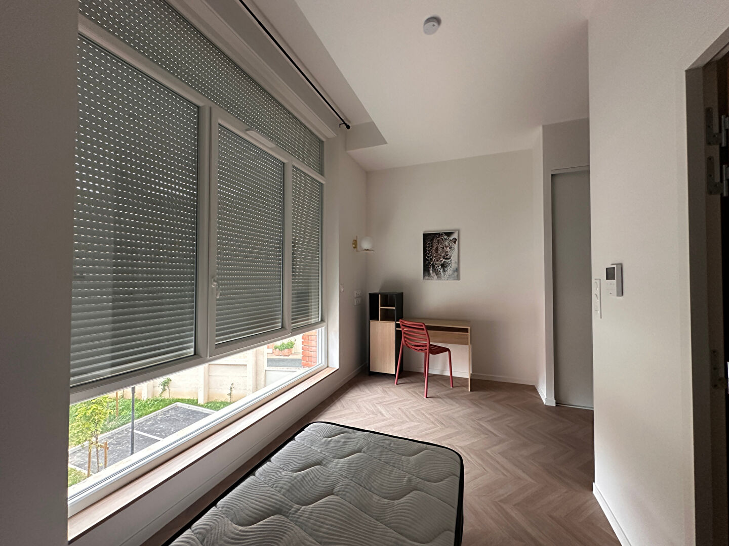 Photo STUDIO 19M² - ALBI CENTRE VILLE image 3/5