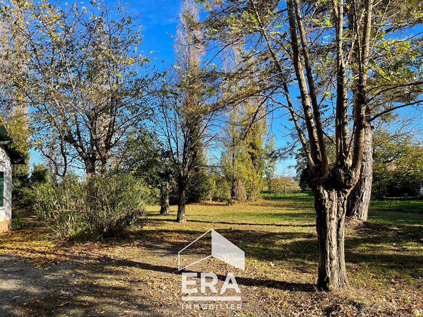 Photo Maison Terssac 120 m2 image 6/6