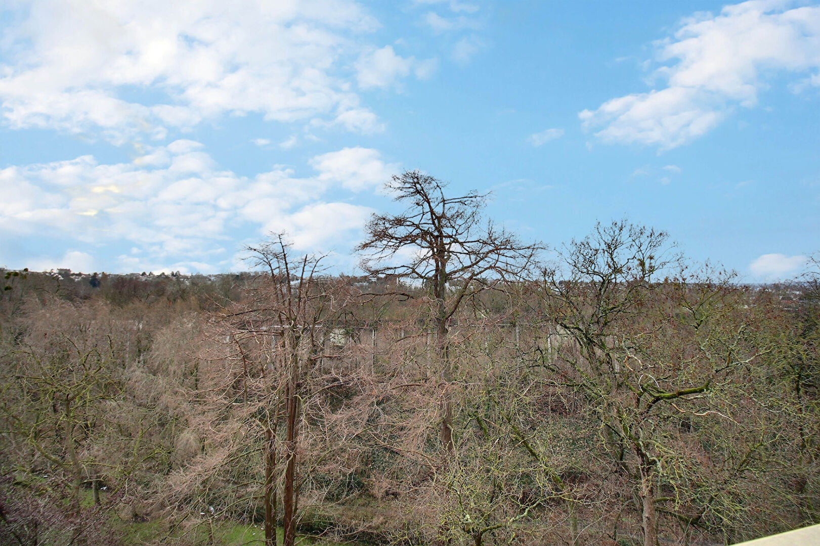 Photo Appartement Savigny Sur Orge 2 pièces image 4/6