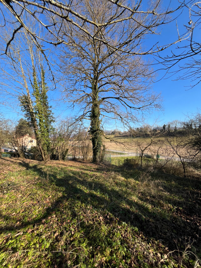 Photo Terrain à vendre de 1200m² image 3/4