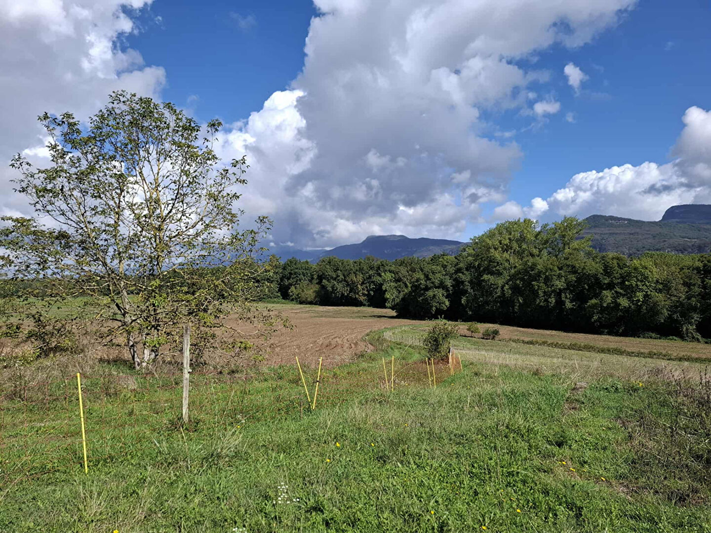 Photo Dauphinoise avec grandes dépendances image 4/6