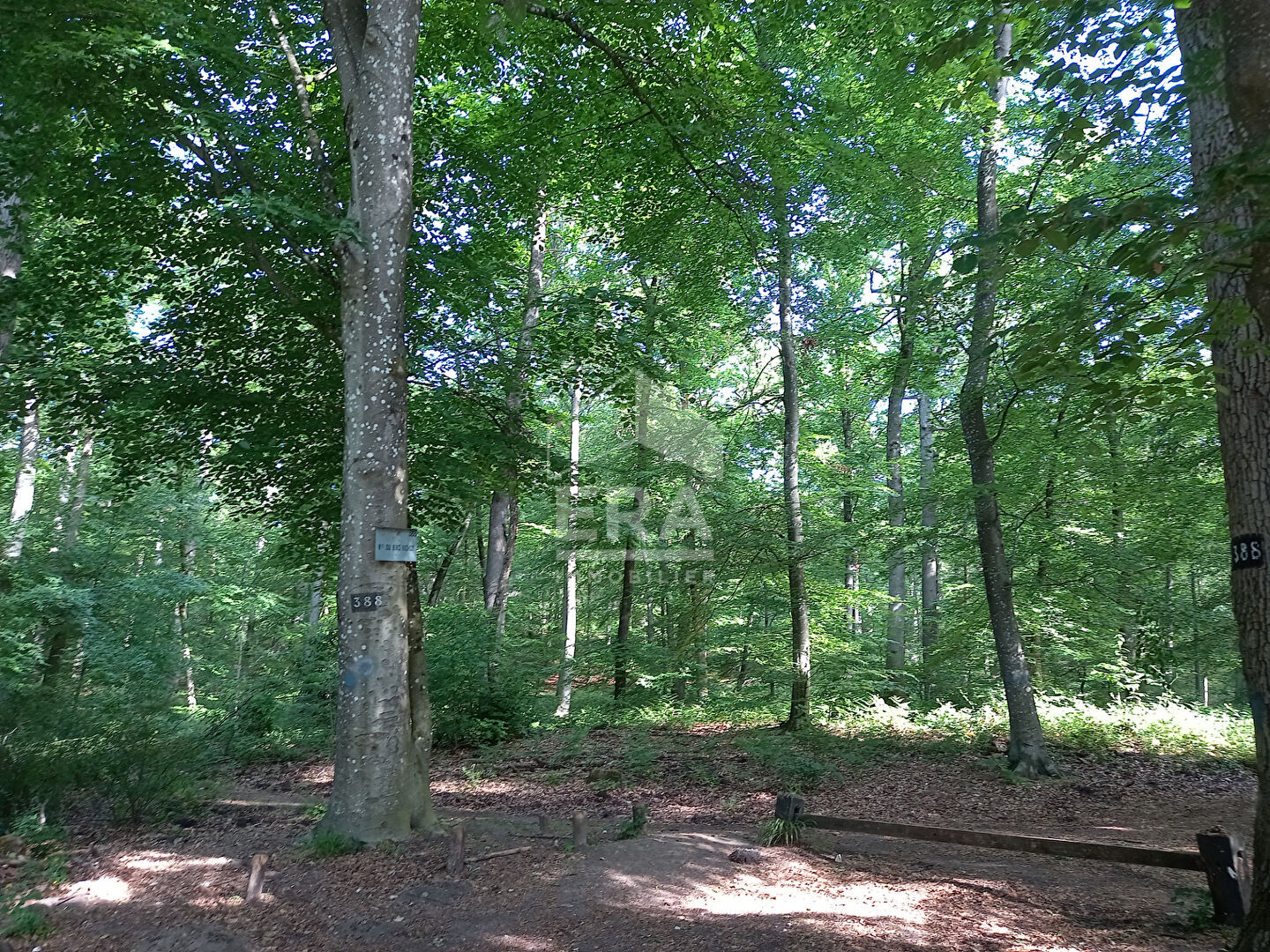 Photo Appartement Fontainebleau 1 pièce meublé 21.62 m2 image 5/6