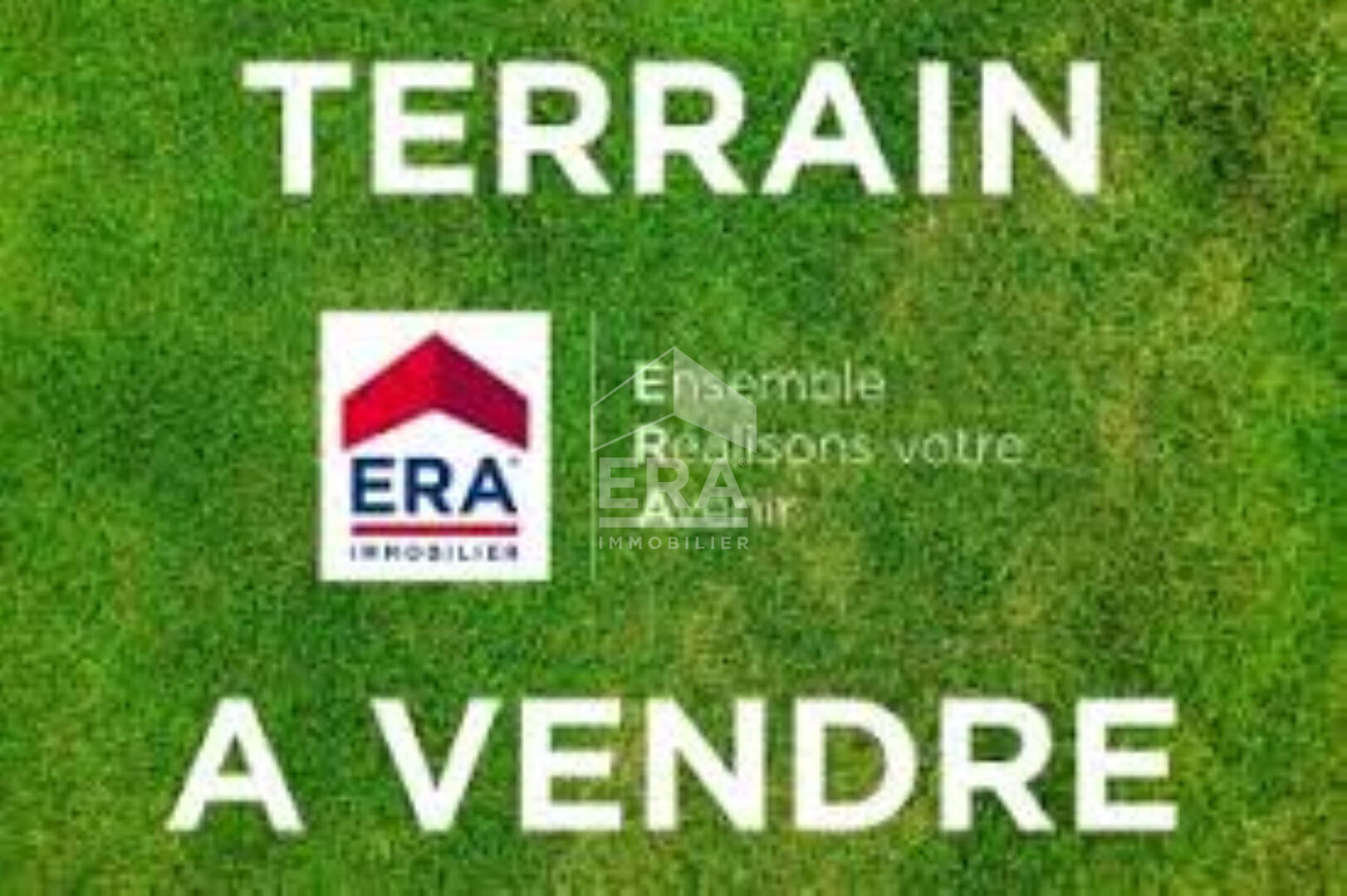 Photo A Vendre - Terrain constructible 1 700 m² - Waben image 1/1