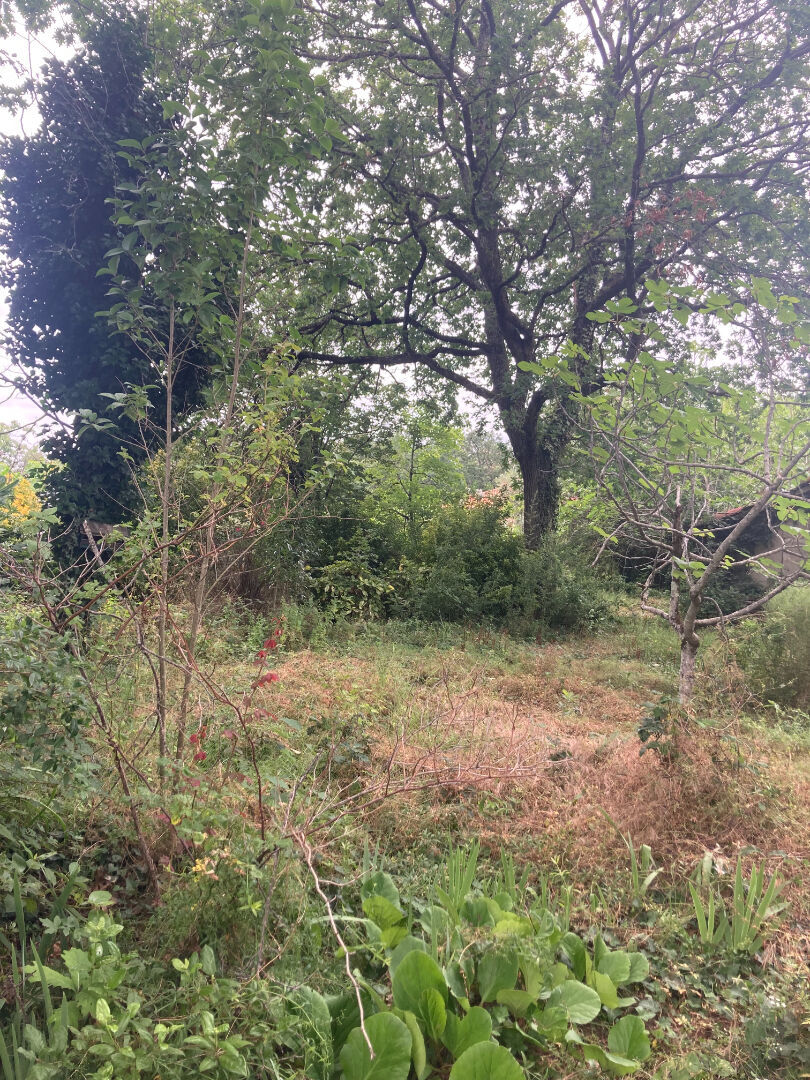 Photo Terrain à bâtir pour maison d'habitation ou locaux professionnels Centre Balma image 3/4