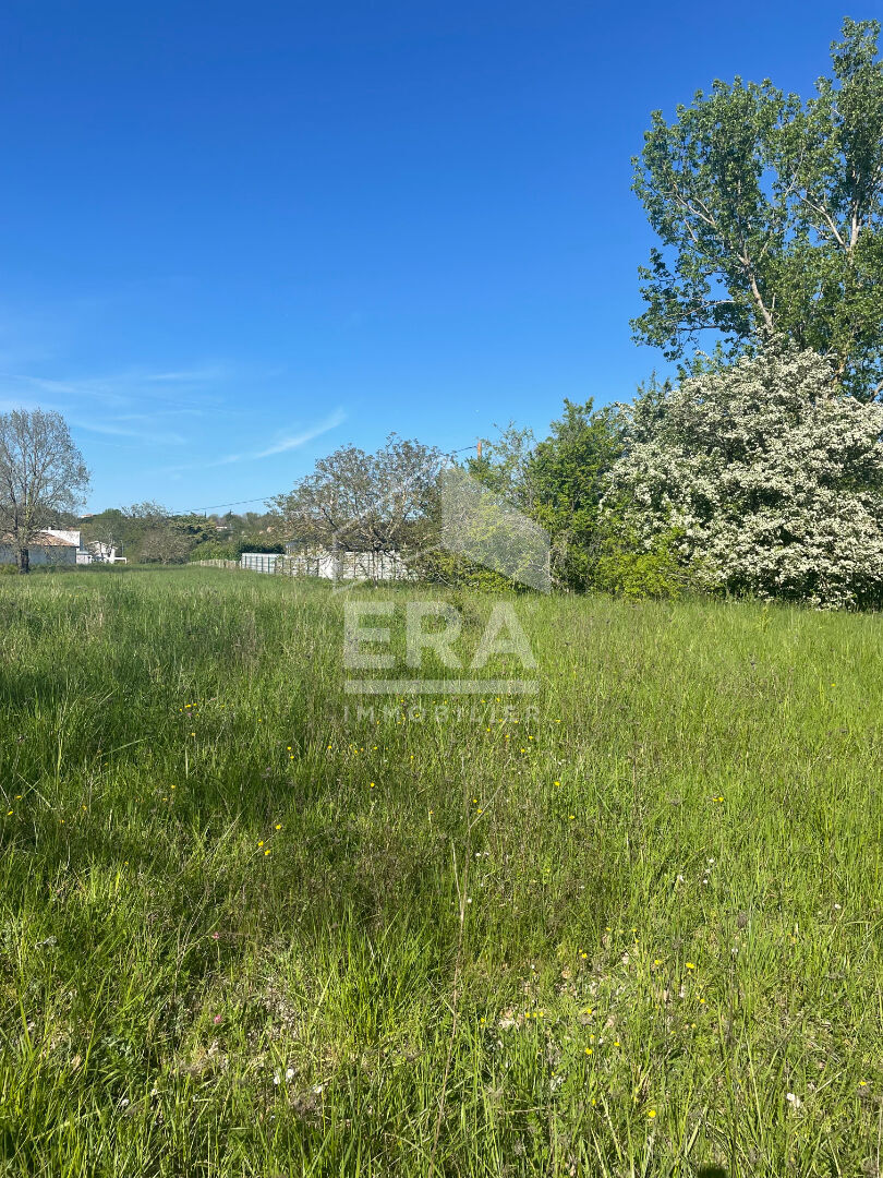 Photo Terrain Balma 4027 m2 image 1/3