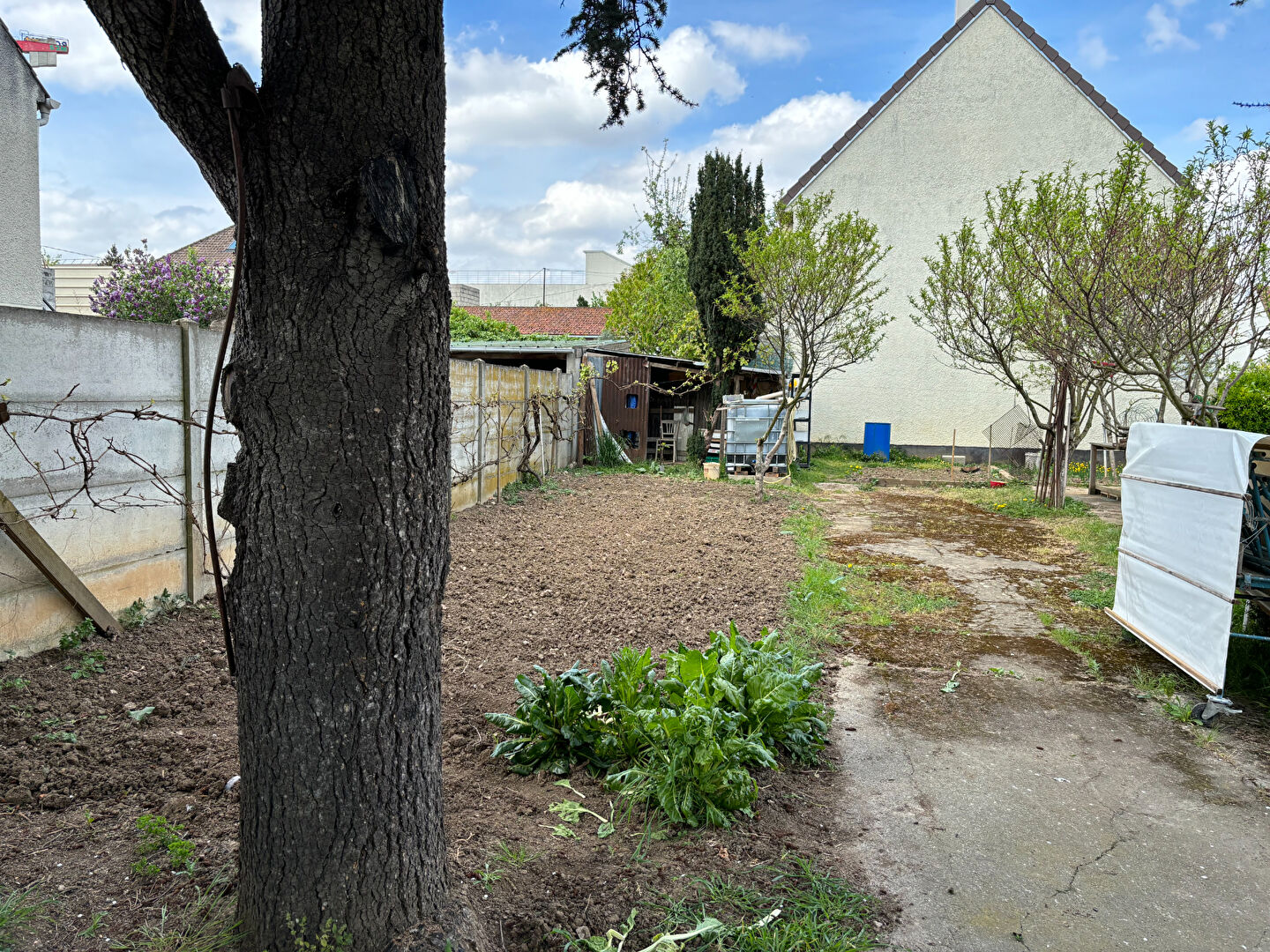 Agence immobilière de ERA IMMOBILIER VENDO Paris