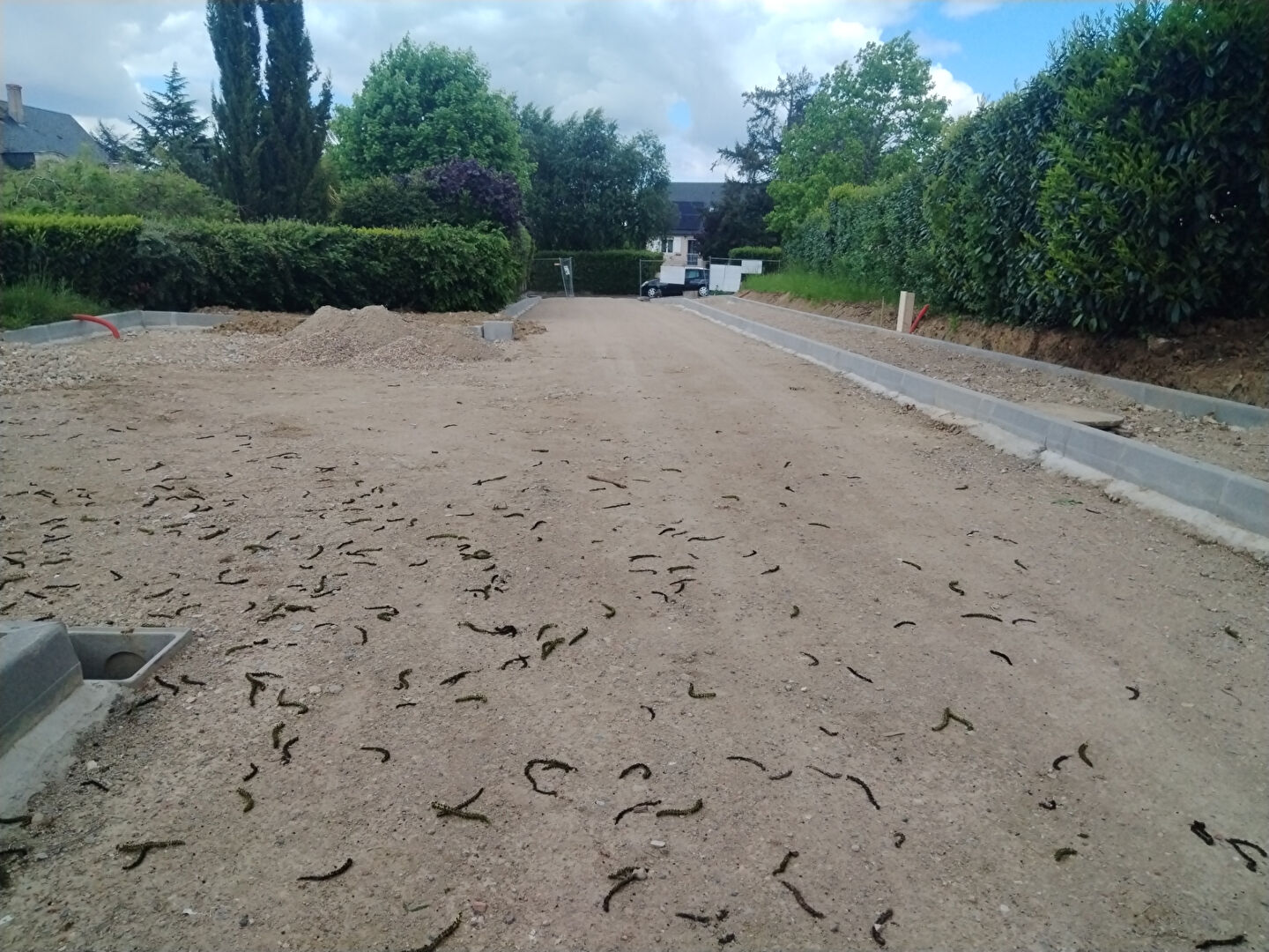 Terrain Saint-cyr-sur-loire 606 m2