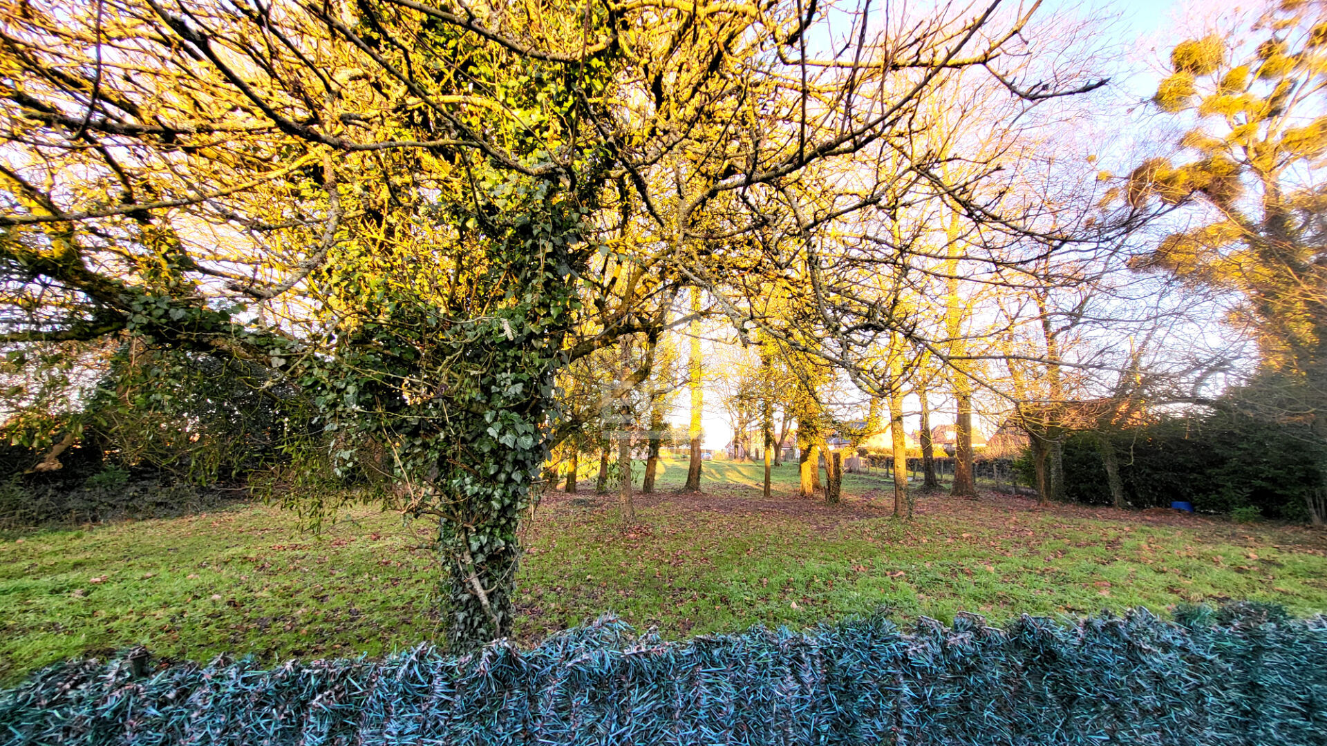 Photo Magnifique chaumière de plain-pied, 3 chambres, 73 m² image 4/6