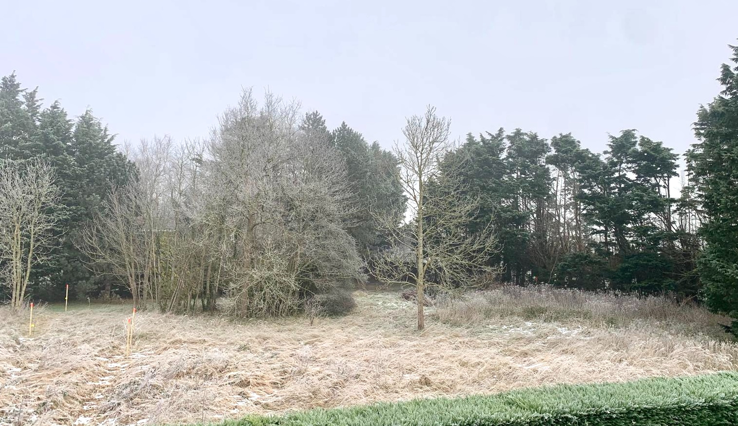 Photo Terrain constructibles Groffliers 864 m² image 2/2