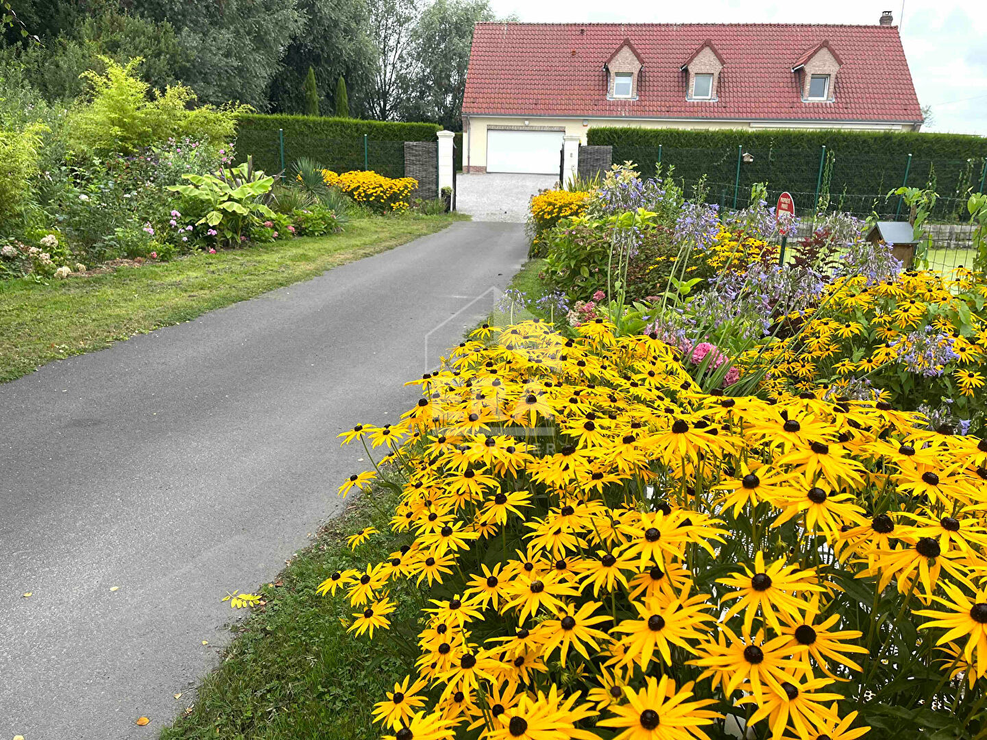 Photo Maison entièrement cloturée -Vie plain pied possible- 270m2- 4 chambres image 1/6