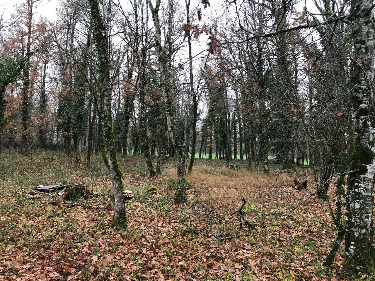 Photo A VENDRE A MAYRAC (46200) - image 2/3