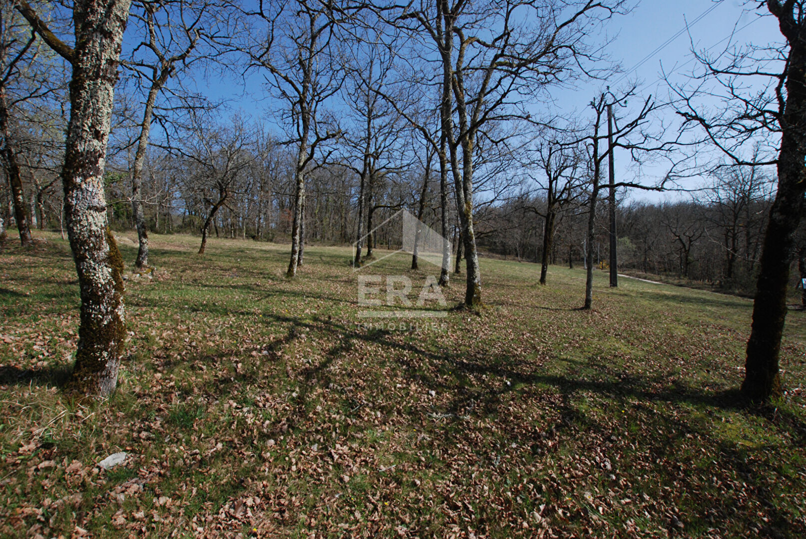 Photo A VENDRE A LACHAPELLE-AUZAC (46200) : TERRAIN D'ENVIRON 2400M²  AVEC CU EN COURS DE VALIDITE image 3/3