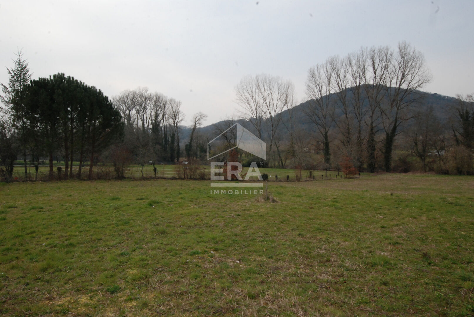 Photo Terrain à vendre 5498 m2- Saint-Julien-de-Lampon 24370 DORDOGNE image 3/6