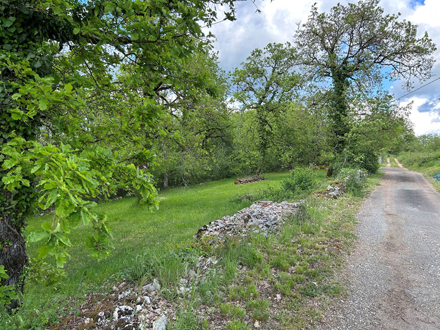 Photo Terrain Cressensac Sarrazac 2530 m2 dont 838 m2 constructibles image 2/5