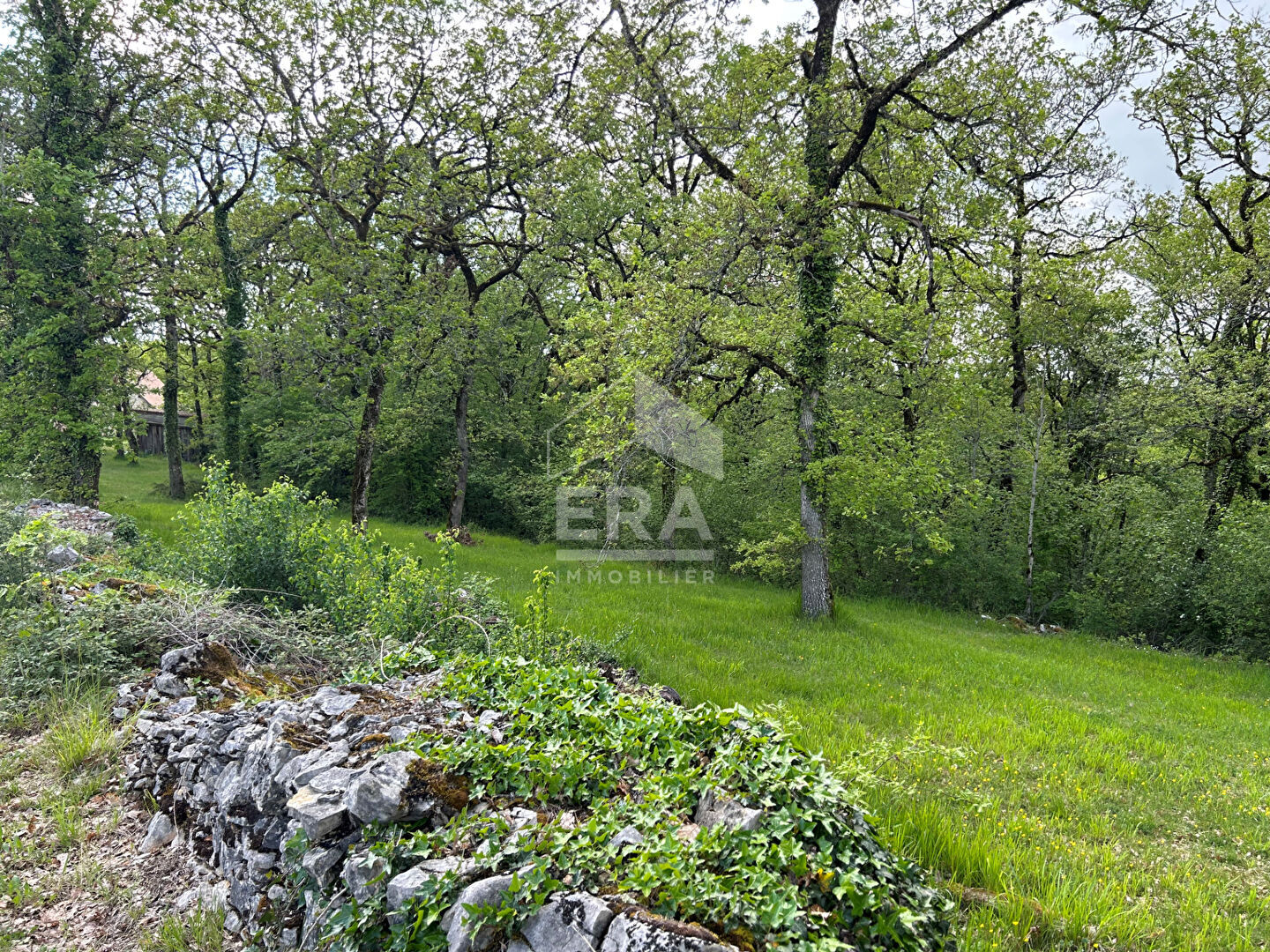 Photo Terrain Cressensac Sarrazac 2530 m2 dont 838 m2 constructibles image 4/5