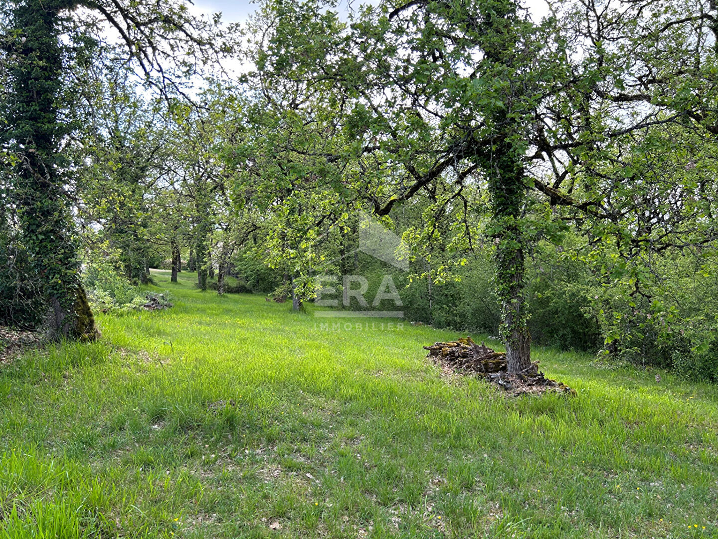 Photo Terrain Cressensac Sarrazac 2530 m2 dont 838 m2 constructibles image 5/5