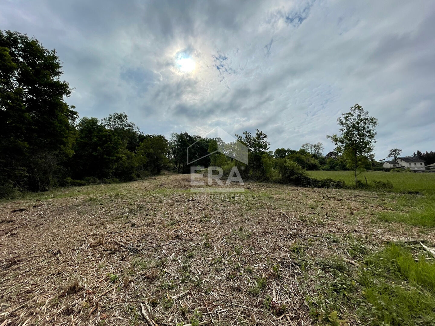 Photo Terrain Malemort 19360 - 6744 m2 dont 1183 m2 constructibles image 3/3